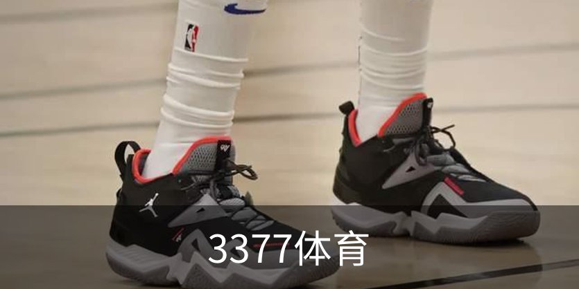 3377体育概况